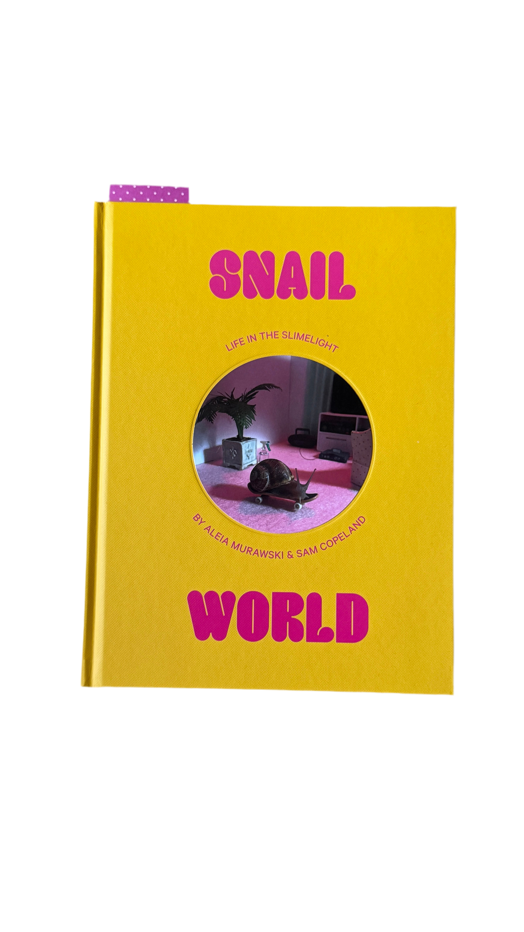Snail World: Life in the Slimelight